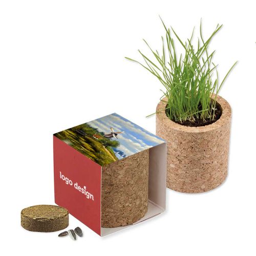 Cork plant set - Image 1